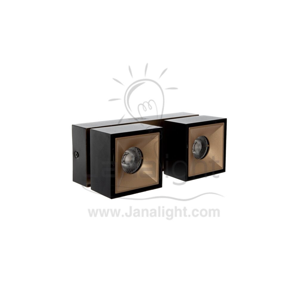 سبوت لايت سلندر 24 وات مجوز اسود وش شمباني وورم مربع متحرك AC85 2S cylinder downlight Square Double black- Champagne worm 24w